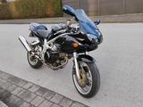 Suzuki SV650 "Knubbel" + Verbessertes Fahrwerk - SUZUKI SPORTLER 650 SV