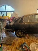 Jaguar S-Type - Jaguar mit Benzin-Antrieb: Limousine, Schaltgetriebe