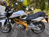 Aprilia Shiver 750 - APRILIA WEIß
