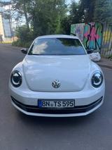 Volkswagen VW Beetle 1.4 TSI 160 PS | Xenon | TÜV 05/28 - Volkswagen Beetle in Bonn