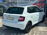 Skoda Fabia Monte Carlo PANO/SITZHZ/PDC/TEMPOMAT - Skoda Fabia Gebrauchtwagen in Ludwigshafen