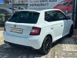 Skoda Fabia Monte Carlo PANO/SITZHZ/PDC/TEMPOMAT - Skoda Fabia: Limousine