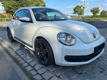 Volkswagen Beetle - 3