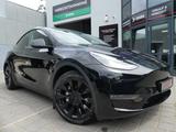 Tesla Model Y Long Range Dual AWD PANO/WÄRMEPUMPE/4xSH - Tesla Model Y Gebrauchtwagen in Berlin
