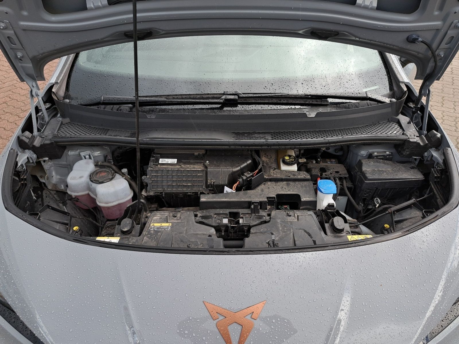 Cupra Born - Bild 22