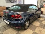 Volkswagen Golf VI Cabriolet 1,2 TSI BMT Tüv 09-2027 - Volkswagen Golf mit Benzin-Antrieb: Cabrio, 2.0