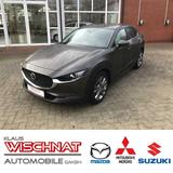 Mazda CX-30 AWD SELECTION A18 BOS DES-P ACT-P Leder - Mazda CX-30 aus 2019