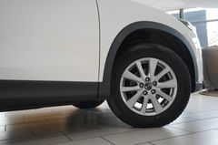 Fahrzeugabbildung Mazda CX-5 2.2 SKYACTIVE SENDO NAVI/BOSE/BI-XENON/AHK