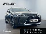 Lexus UX 250h Style Edition *Bi-LED*AHK*CAM*ACC*SHZ*PD - Lexus Gebrauchtwagen von 2022