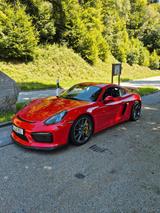 Porsche Cayman GT4 981 Clubsport PCCB - Porsche Cayman: Gt4 Clubsport