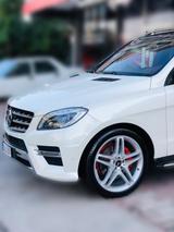 Mercedes-Benz ML 350 BlueTEC 4MATIC - AMG Designo Edition1 - Mercedes-Benz ML-Klasse von privat