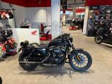 Harley-Davidson Sportster XL 883 *A2 Drossel 48PS* - HARLEY-DAVIDSON 48