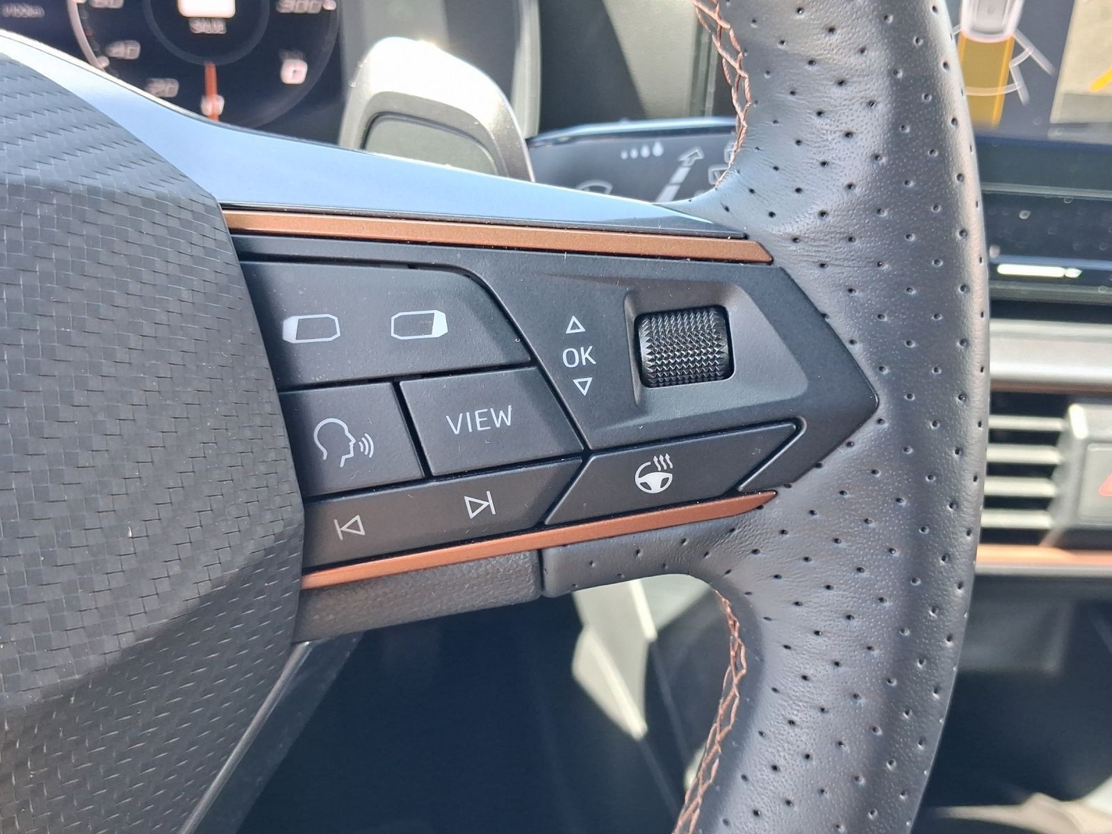 Cupra Formentor - Bild 19