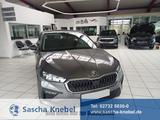 Skoda Scala Classic 1.0 TSI 70 kW (95PS) 5-Gang, Eu... - Skoda Neuwagen: Eu