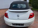 Volkswagen Beetle Cabriolet 60's Sport 1,4 TSI DSG - gebrauchte VW Beetle aus dem Jahr 2013