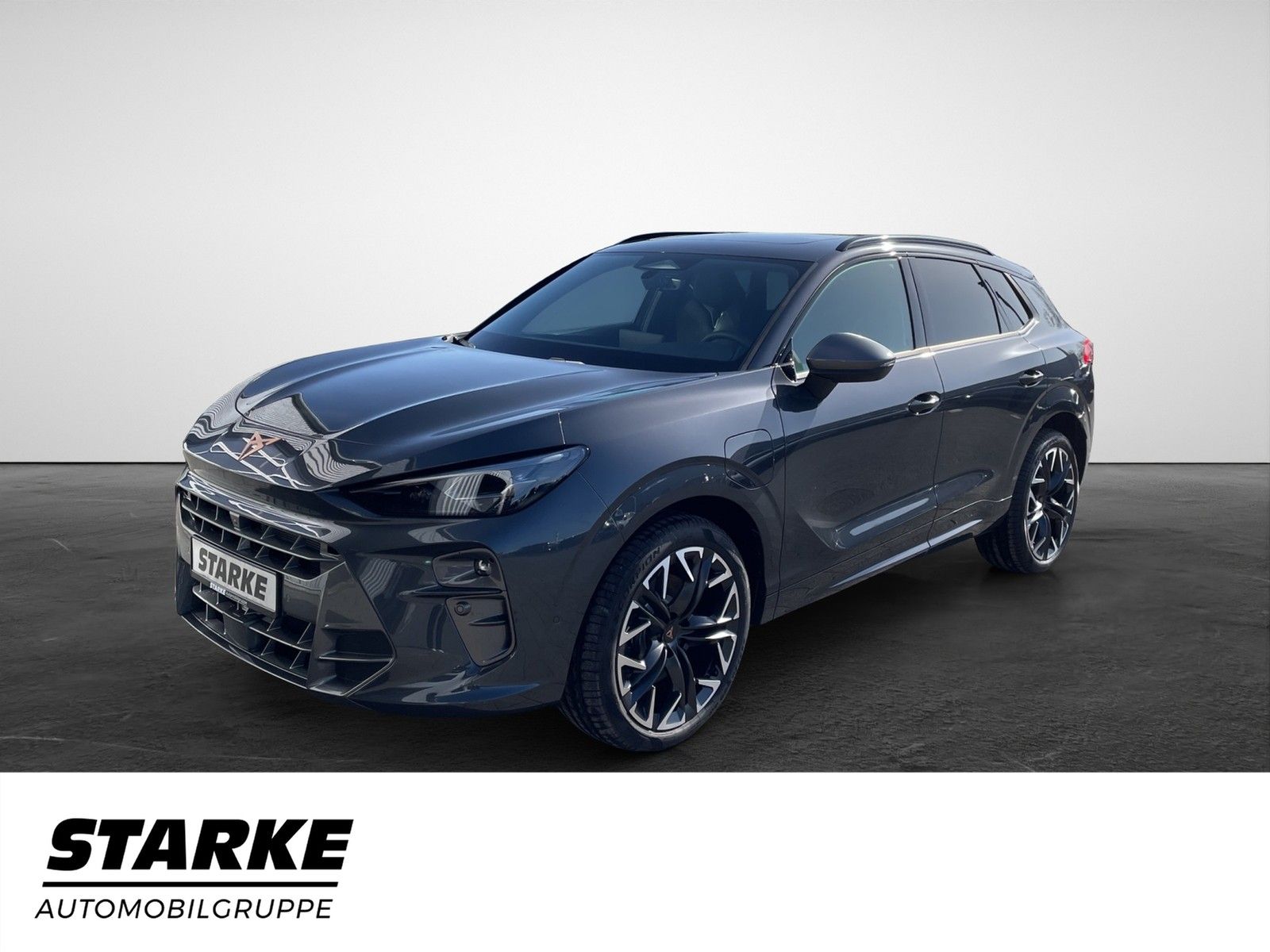 Cupra Terramar 1.5 e-Hybrid DSG VZ  HeadUp Panodach AH imagem 2