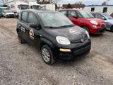 Fiat Panda - Fiat Panda mit CNG-Antrieb