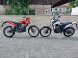 Beta ALP 4.0 Modell 2026