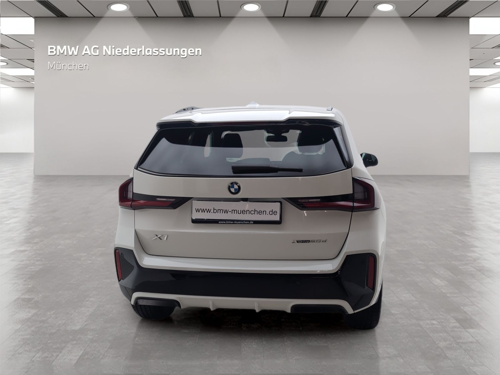 BMW X1 xDrive20d M Sport AHK Driv.Assist Head-Up foto 5