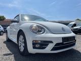 Volkswagen Beetle Design BMT/Start-Stopp - gebrauchte Volkswagen Beetle aus dem Jahr 2018