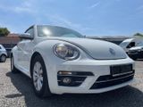 Volkswagen Beetle Design BMT/Start-Stopp - Volkswagen Beetle aus 2018