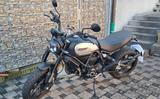 Ducati Scrambler 1100 Pro - Top Zustand - Nur 5.600km - - DUCATI 600