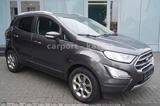 Ford EcoSport Titanium Leder/Sitzhzg/Navi/Sync - graue Ford EcoSport