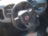 Fiat New Panda 1.2 8V LOUNGE LOUNGE - Fiat New Panda Gebrauchtwagen