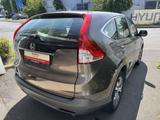 Honda CR-V 2.0i-VTEC 2WD Comfort - Honda CR-V in Köln