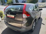 Honda CR-V 2.0i-VTEC 2WD Comfort - Honda CR-V in Köln