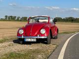 Volkswagen Käfer Cabrio - Bj. 1964 - Volkswagen Käfer: Rot