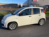 Fiat Panda 1.2 8V Lounge | Uconnect | - Fiat Panda Gebrauchtwagen in Düsseldorf