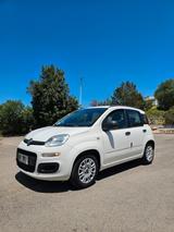 Fiat Panda 1.3 MJT S&S Lounge - Fiat Panda LOUNGE mit Diesel-Antrieb