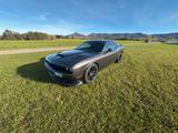 Dodge Challenger R/T S cat Pack Dt. Erstzulassung - Dodge Challenger: Limousine