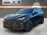 Cupra Terramar 2.0 TSI 195 kW 4Drive VZ Standheizung P