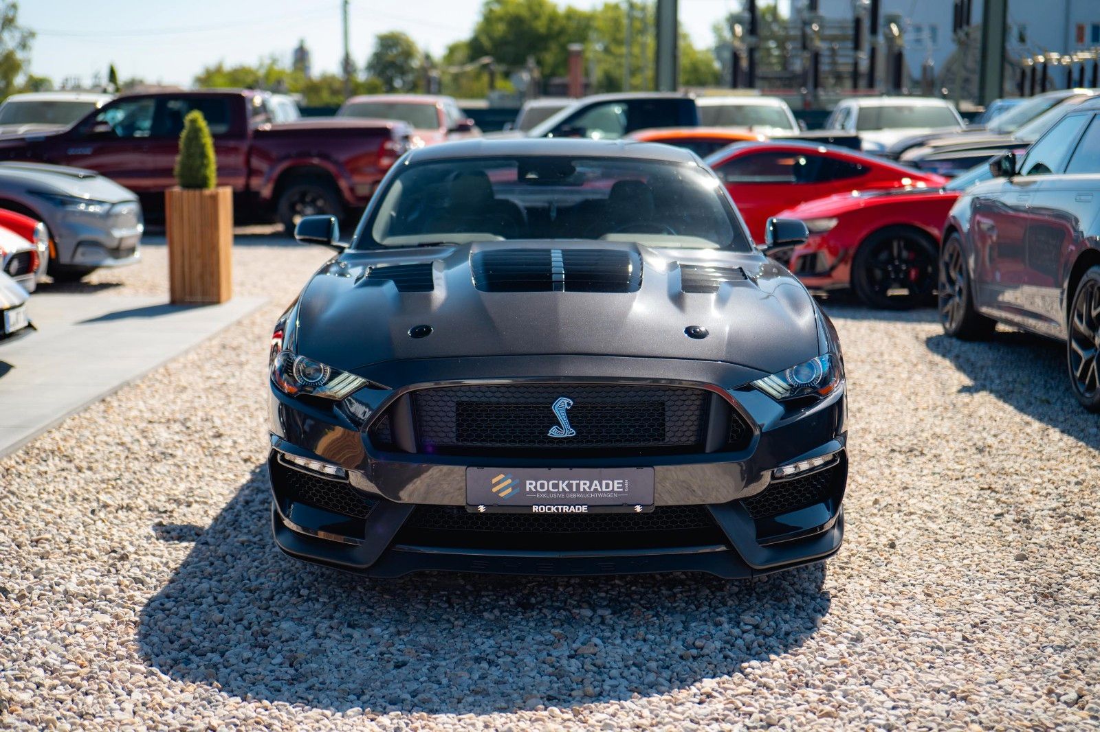 Fahrzeugabbildung Ford Mustang Shelby GT 500 5.0 V8 Performance CarPlay