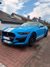 Ford Auto. Ford Mustang shelby - Ford Mustang: Cabrio, Shelby