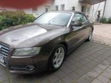 Audi A5 1.8 TFSI CABRIOLET - OPTIK + TECHNIK BESTENS - Audi A5 aus 2011: Cabrio