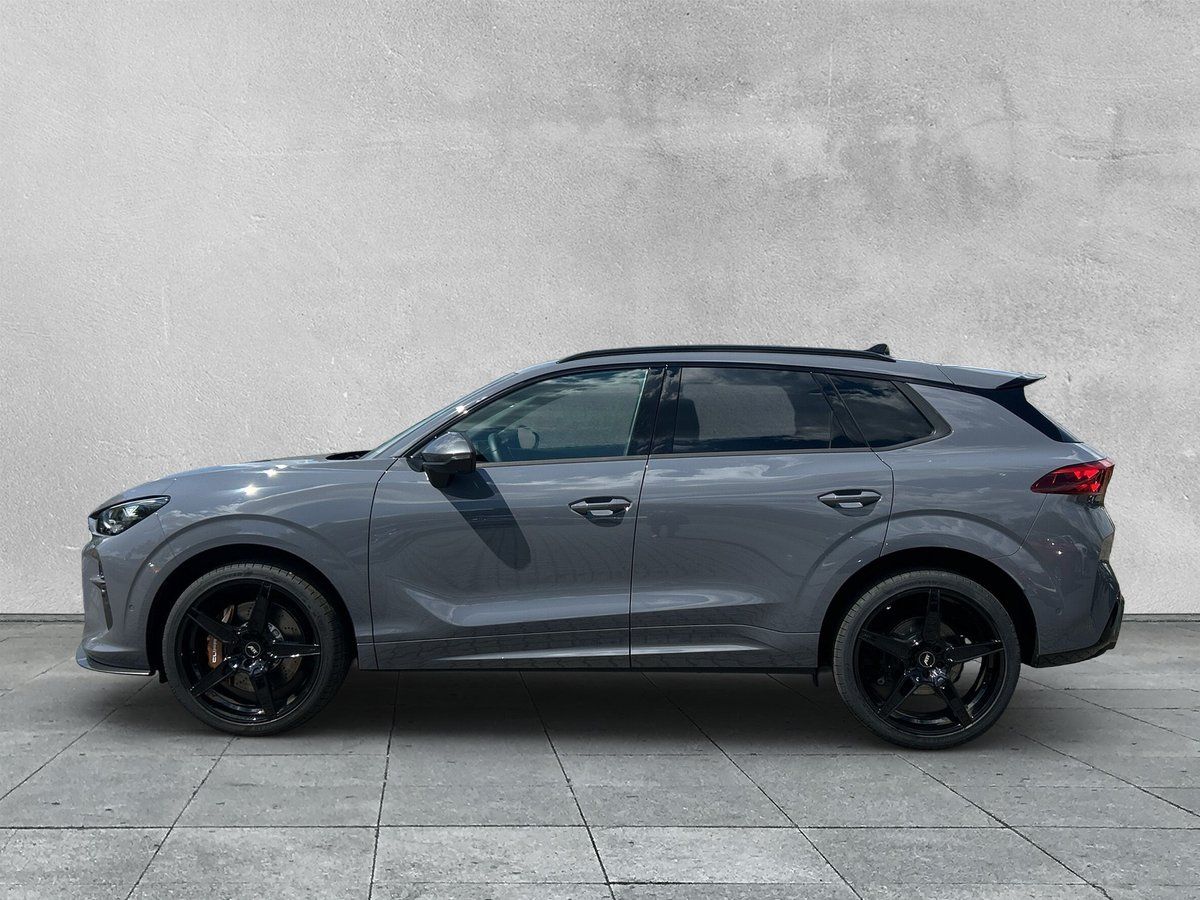 Cupra Terramar - Bild 2