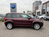 Skoda Yeti 1.4 TSI Ambition Navi Amundsen+Klima2Z+STHZ - Skoda Yeti: Tsi
