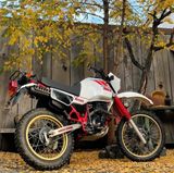 Yamaha XT 600 Tenere 55W Top Zustand - Angebote entsprechen deinen Suchkriterien