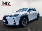 Lexus UX 250h Hybrid Style Edition KAMERA LED - Lexus in Frankfurt (Main)