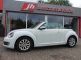 Volkswagen Beetle Cabriolet Design*Sitzhzg.*Leder*Klima*PDC - Volkswagen Beetle: Cabrio