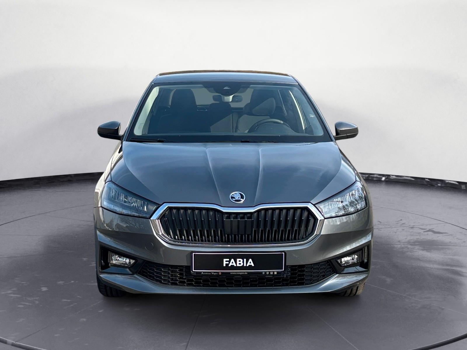Skoda Fabia Selection SHZ/LED