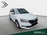 Skoda Fabia 1.0 TSI Ambition*NAVI*PDC*LED*SHZ* - Skoda Fabia Gebrauchtwagen in Frankfurt