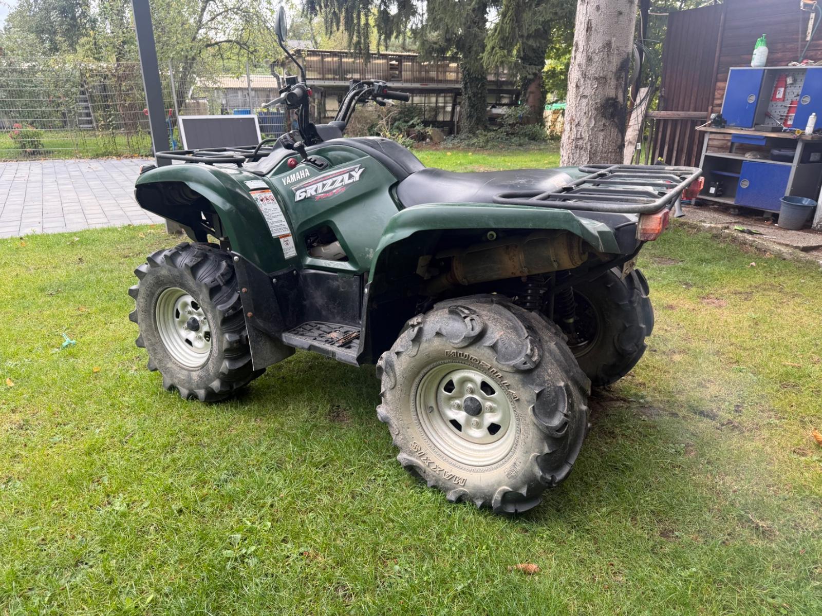 Yamaha Grizzly 2008 — вигляд ззаду