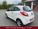 Ford Ka Ambiente 1.2 Duratec+TÜVNEU+2.HAND+KLIMA+PDC - Ford: Ka Ambiente
