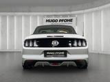 Ford Mustang Convertible 2.3 EcoBoost | Navi | RFK - Ford Mustang: Cabrio