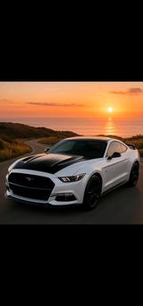 Ford Einzigartiger Mustang V6 3.7 mit LPG Gasan... - Ford Mustang mit LPG-Antrieb