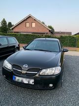 Nissan Almera | 1.5 Benzin | 108 TKM | TÜV... - Nissan Almera: 1.5